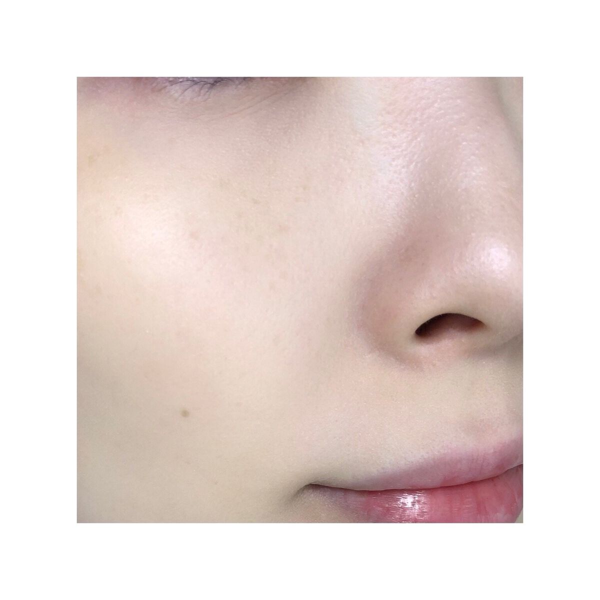 ããªãŒã© ãªãã¬ã¯ã¿ãŒ/DECORTÃ/ãã¬ã¹ãããŠããŒã䜿ã£ãã¯ãã³ãïŒ5æç®ïŒ