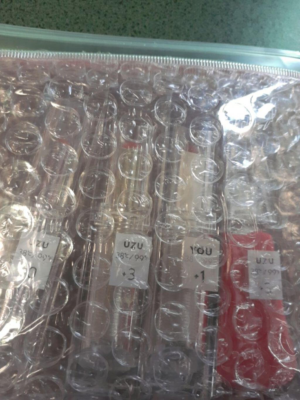 38°C / 99°F リップトリートメント (リップ美容液)/UZU BY FLOWFUSHI/リップケアを使ったクチコミ（1枚目）