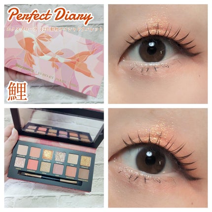 エクスプローラ12色 動物アイシャドウパレット/PERFECT DIARY/アイシャドウパレットを使ったクチコミ(1枚目)