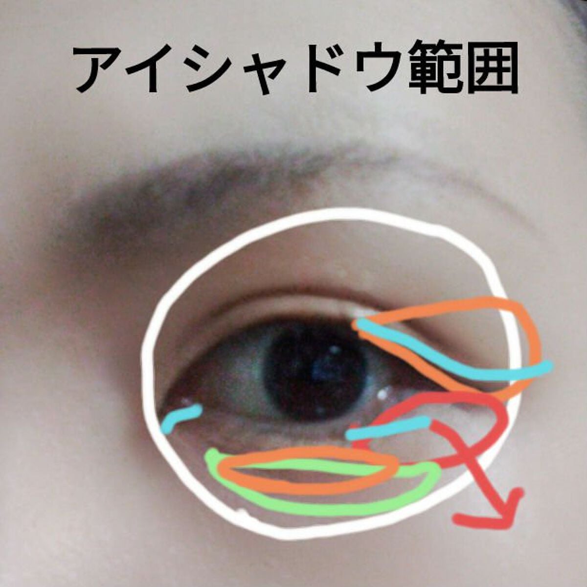 ラスティングマルチアイベース WP/キャンメイク/アイシャドウベースを使ったクチコミ(7枚目)