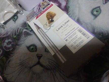 リキッドアイライナーR4/ラブ・ライナー/リキッドアイライナーを使ったクチコミ(1枚目)