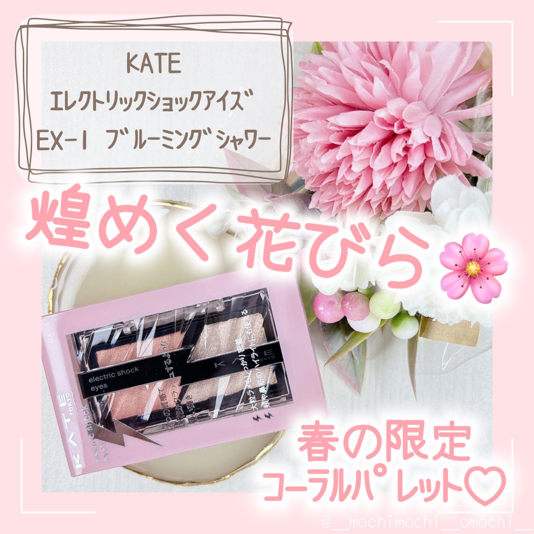 デザイニングブラウンアイズ/KATE/アイシャドウパレットを使ったクチコミ(1枚目)