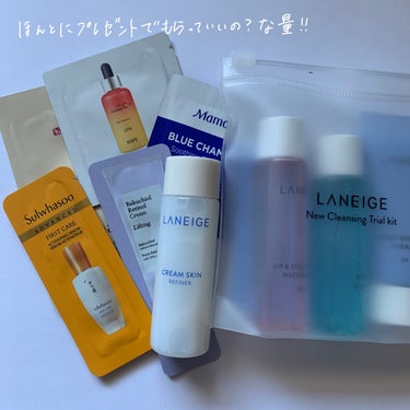 リップスリーピングマスク/LANEIGE/リップケア・リップクリームを使ったクチコミ（2枚目）