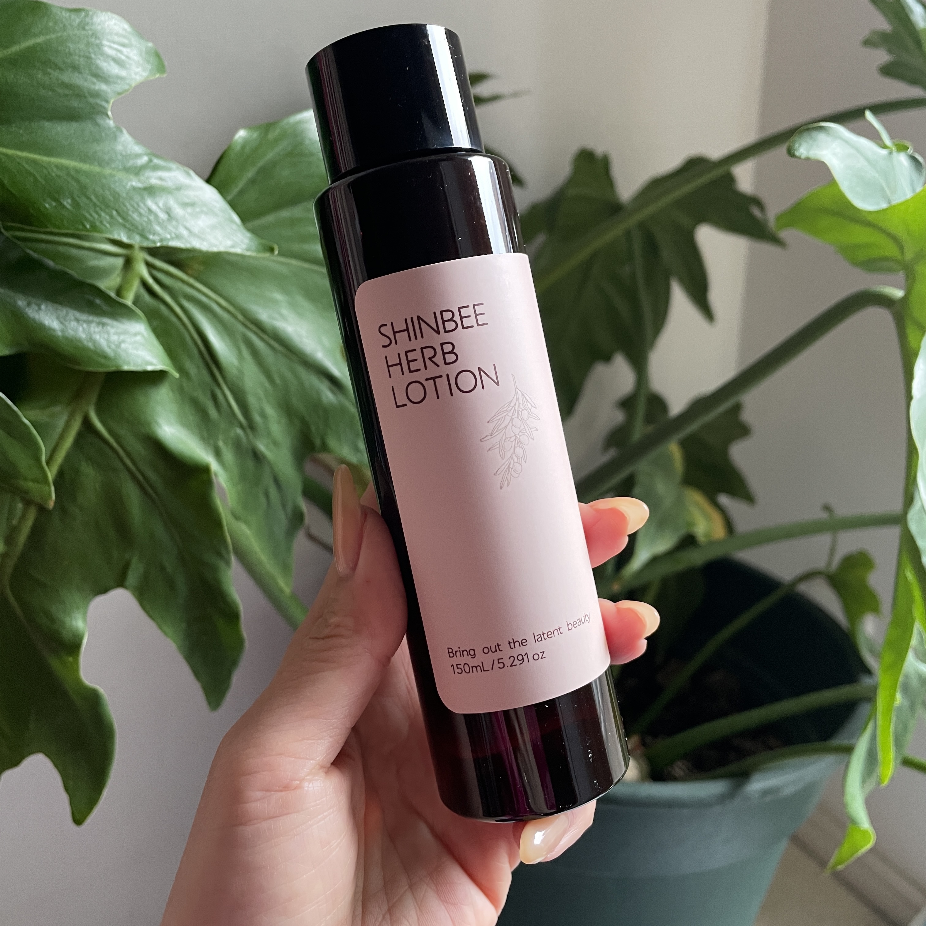 シンビ韓方モイスチャーローション/シンビ/化粧水を使ったクチコミ（1枚目）