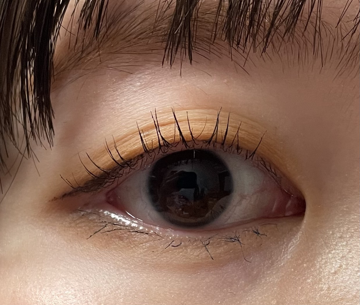 エテュセ アイエディション(カラーパレット)/ettusais/アイシャドウパレットを使ったクチコミ（1枚目）