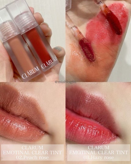 ファーストバードアイシャドウパレット/CLARUM/アイシャドウパレットを使ったクチコミ(9枚目)