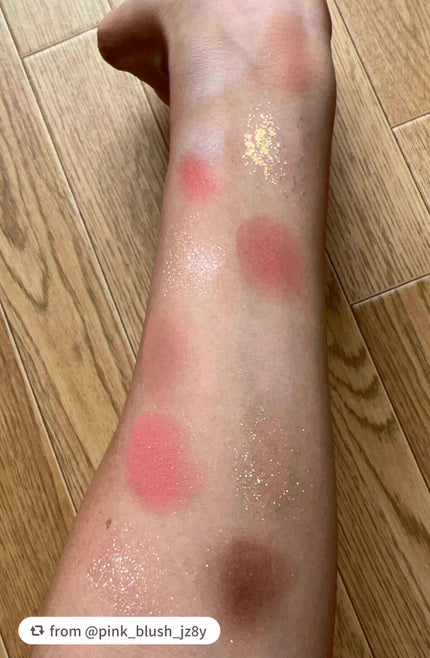 エクスプローラ12色 動物アイシャドウパレット/PERFECT DIARY/アイシャドウパレットを使ったクチコミ(3枚目)