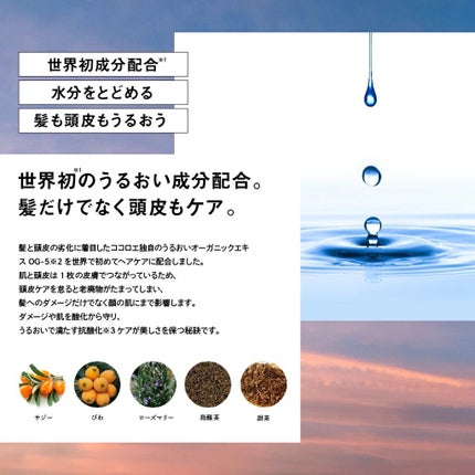 髪がうるおう精油シャンプー/トリートメント しっとり /kokoroe/シャンプー・コンディショナーを使ったクチコミ(4枚目)