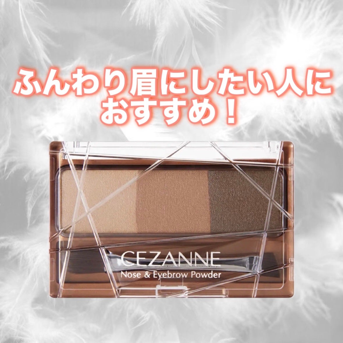 ノーズ&アイブロウパウダー/CEZANNE/パウダーアイブロウを使ったクチコミ(1枚目)