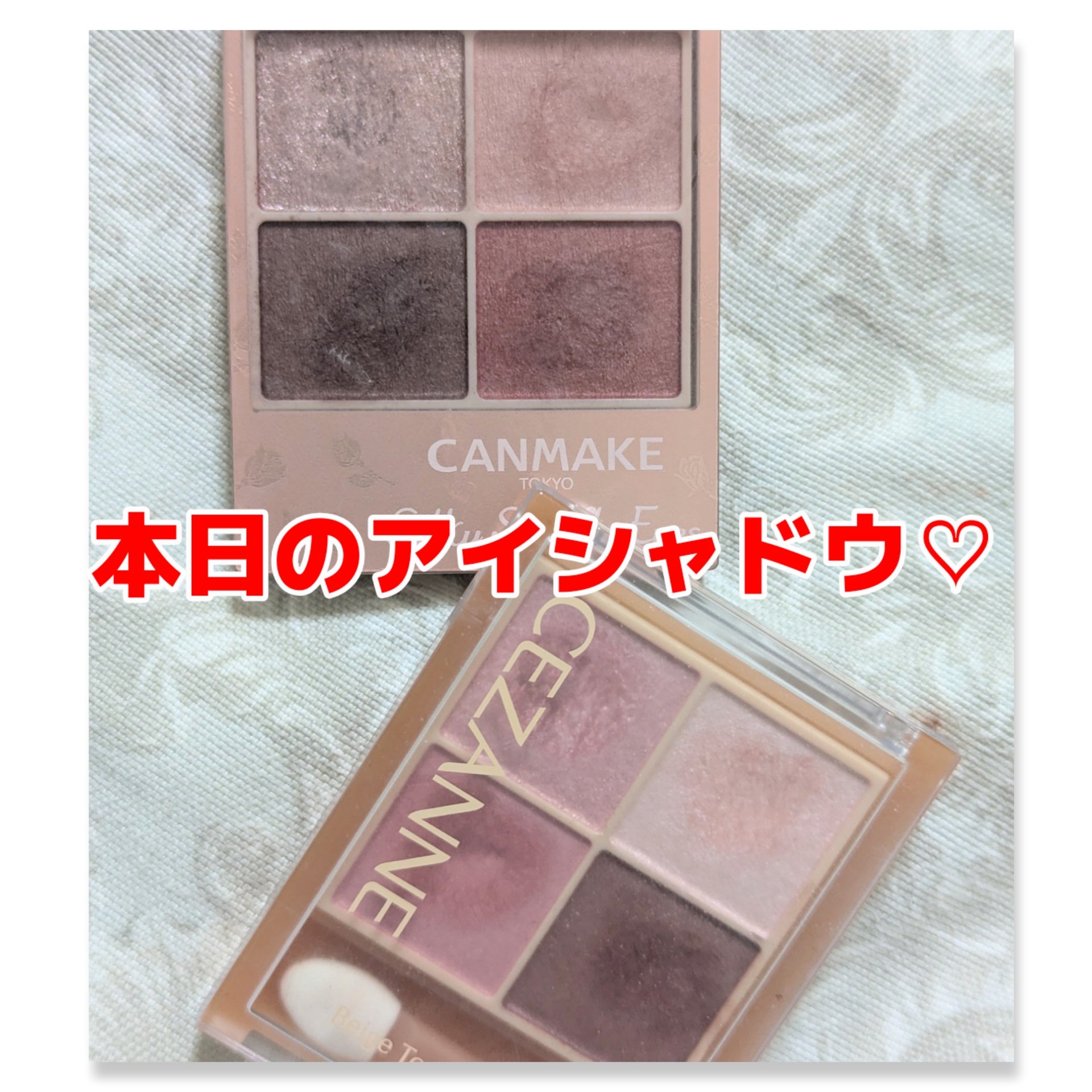 シルキースフレアイズ（マットタイプ）/キャンメイク/アイシャドウパレットを使ったクチコミ（1枚目）