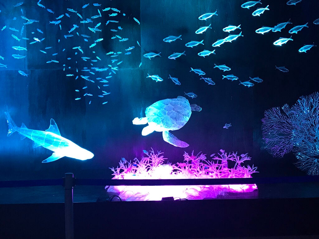 クリア マスカラR/CEZANNE/マスカラ下地を使ったクチコミ(6枚目)