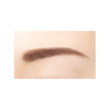 パウダー＆ペンシル　アイブロウＥＸ PD07'23 モカブラウン(限定デザイン)