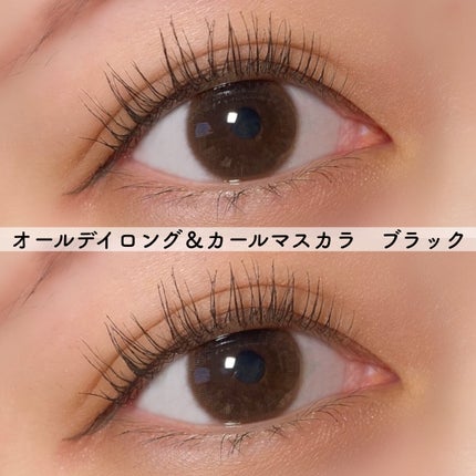オールデイ ロング アンド カール マスカラ/Milk Touch/マスカラを使ったクチコミ(5枚目)