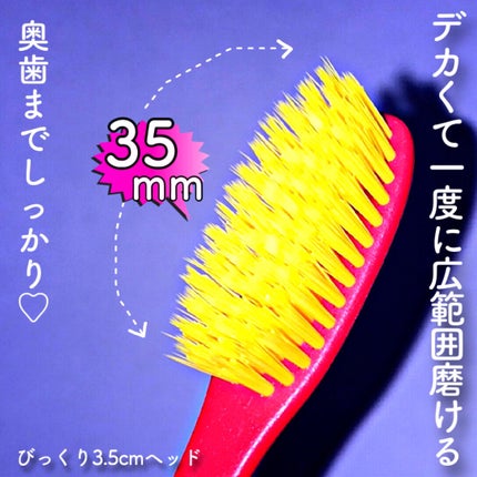 SMIZE 歯ブラシ/SMIZE/歯ブラシを使ったクチコミ(6枚目)