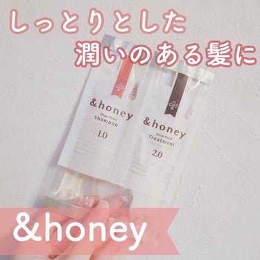 ディープモイスト シャンプー1.0／ヘアトリートメント2.0/&honey/シャンプー・コンディショナーを使ったクチコミ（1枚目）