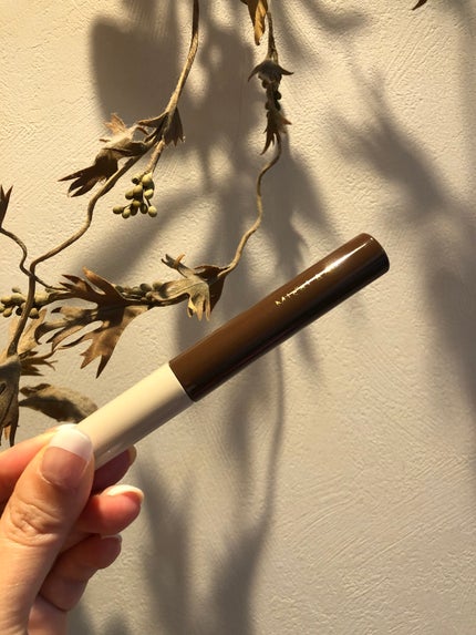 ミゼルエディ カールアップマスカラ ロング/ミゼルエディ/マスカラを使ったクチコミ(6枚目)