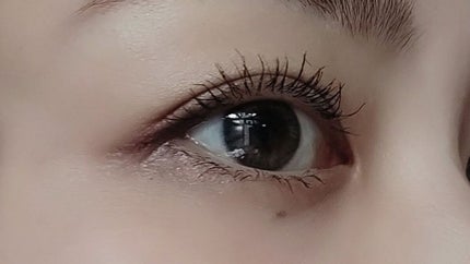 エテュセ アイエディション(マスカラベース)ウォームスタイル/ettusais/マスカラ下地を使ったクチコミ(4枚目)