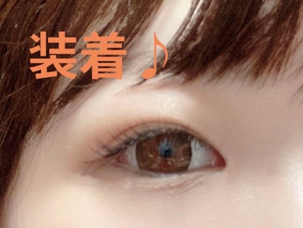 ナチュラリ ワンデー UVモイスチャー チャーミングブラウン/NATURALI/ワンデー(1DAY)カラコンの画像