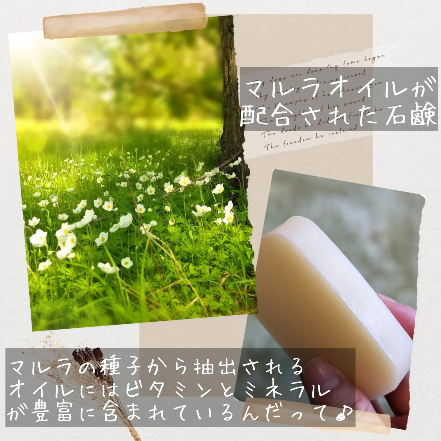 マルラオイル配合 フェイシャルソープ/rashiku-japan/洗顔石鹸を使ったクチコミ（2枚目）