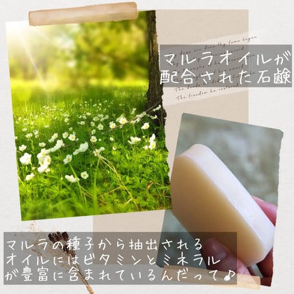 マルラオイル配合 フェイシャルソープ/rashiku-japan/洗顔石鹸を使ったクチコミ(2枚目)
