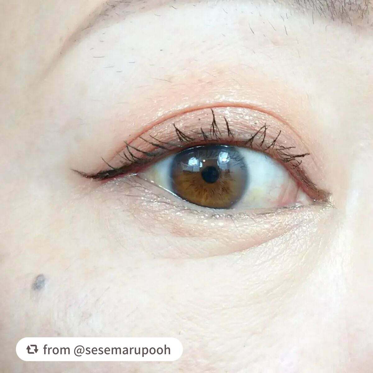 gatto lash ガットラッシュ/水橋保寿堂製薬/リキッドアイライナーを使ったクチコミ(5枚目)