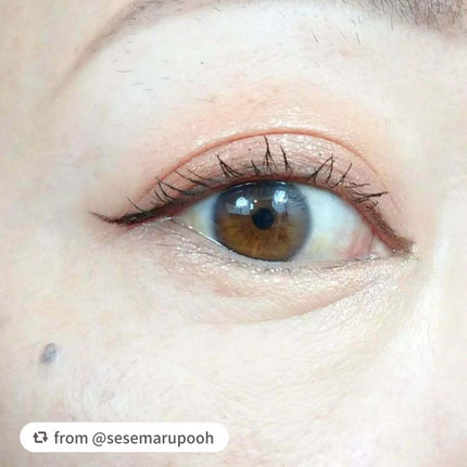 gatto lash ガットラッシュ/水橋保寿堂製薬/リキッドアイライナーを使ったクチコミ(5枚目)