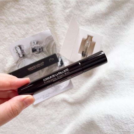 フレグランスクリーンミスト/ロデュール ドゥ ラ カリストー/その他を使ったクチコミ(2枚目)