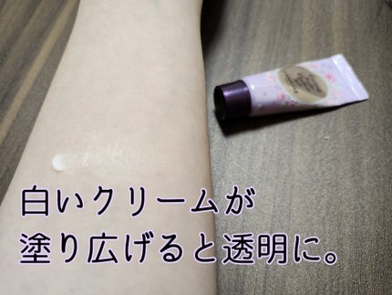 ラスティングマルチアイベース WP/キャンメイク/アイシャドウベースを使ったクチコミ(3枚目)