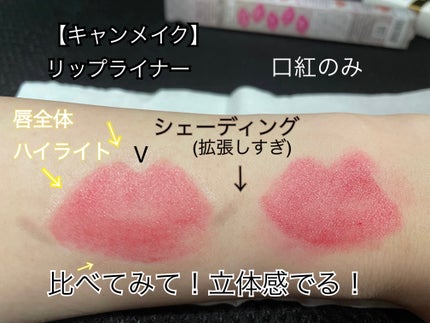 リップトリックライナー/キャンメイク/リップライナーを使ったクチコミ(1枚目)
