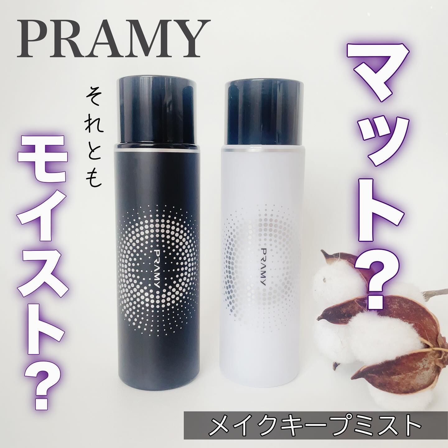 PRAMY メイクアップセッティングミスト マットタイプ/PRAMY/フィックスミストを使ったクチコミ（1枚目）