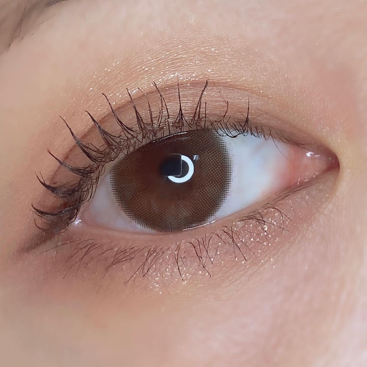 ReVIA 1day/ReVIA/ワンデー（１DAY）カラコンを使ったクチコミ（3枚目）