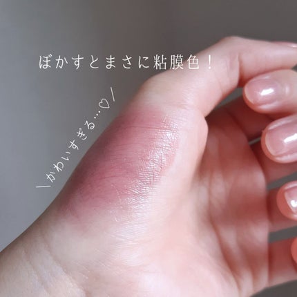 ネンマクフェイク ルージュ/Visée/口紅を使ったクチコミ(5枚目)