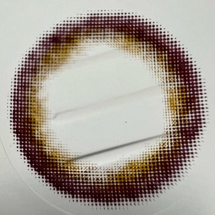 BELLSiQUE 1day/ベルシーク/ワンデー(1DAY)カラコンを使ったクチコミ(4枚目)