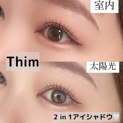 Artist Touch Shadow Duo/thim/スティックアイシャドウを使ったクチコミ(1枚目)