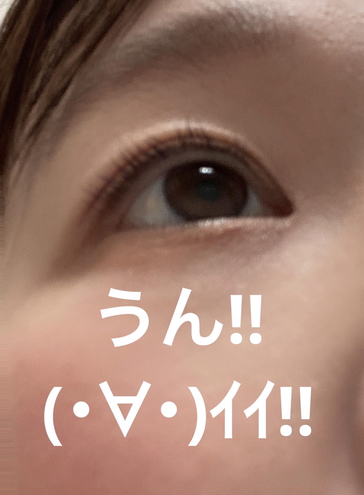 HARNE 1day マカロン/HARNE/ワンデー（１DAY）カラコンを使ったクチコミ（3枚目）