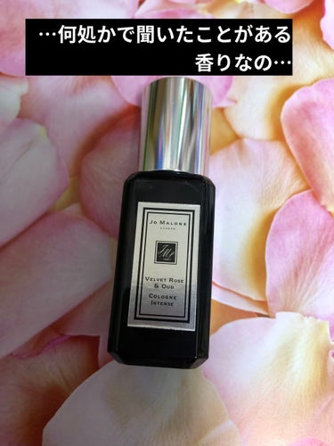 ヴェルベット ローズ ＆ ウード コロン インテンス/Jo MALONE LONDON/香水(レディース)を使ったクチコミ（1枚目）