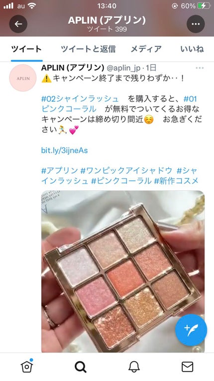 ワンピックアイシャドウパレット/APLIN/アイシャドウパレットを使ったクチコミ(9枚目)