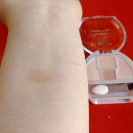 シルキースフレアイズ(マットタイプ)/キャンメイク/アイシャドウパレットを使ったクチコミ(7枚目)