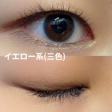 ミネラルクラッシィシャドー/エトヴォス/アイシャドウパレットを使ったクチコミ(7枚目)