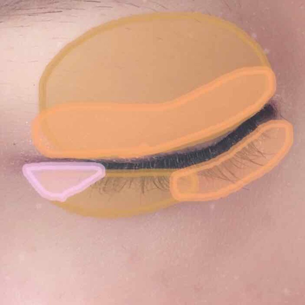 セレクト アイカラー/ESPRIQUE/単色アイシャドウを使ったクチコミ（3枚目）