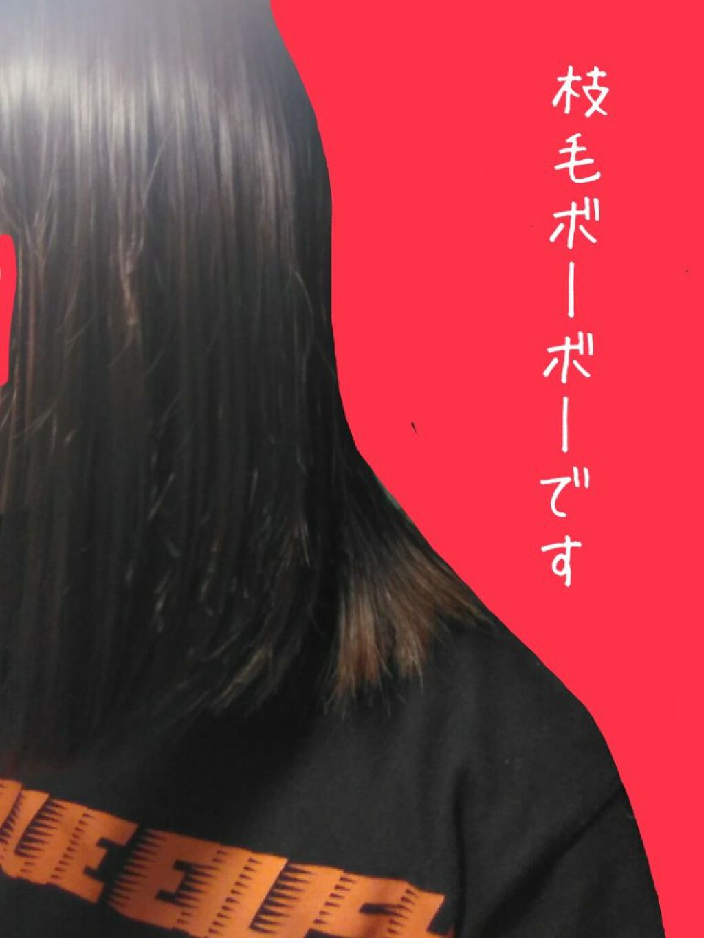 パドル ブラシ/AVEDA/ヘアブラシを使ったクチコミ(1枚目)