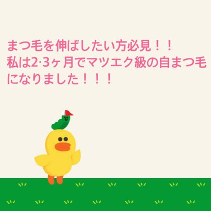 エグータム/アルマダスタイル/まつげ美容液を使ったクチコミ(1枚目)