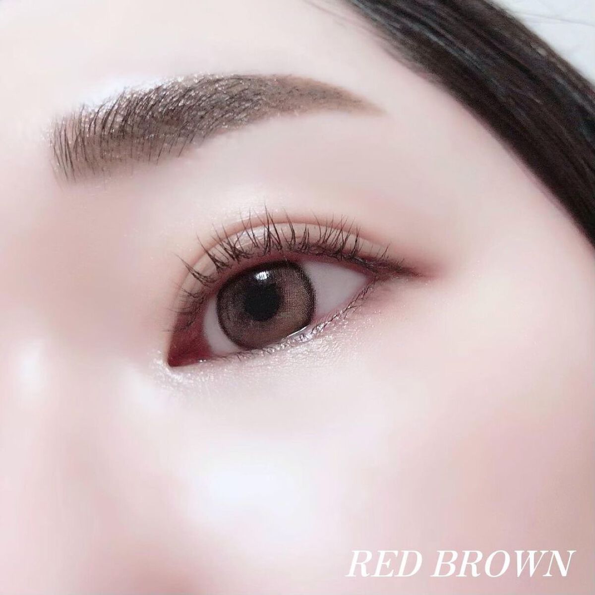 Secretive Kristen 1day/Hapa kristin/ワンデー(1DAY)カラコンを使ったクチコミ(10枚目)