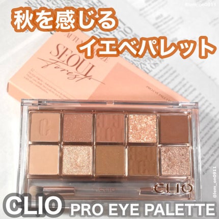 プロ アイ パレット/CLIO/アイシャドウパレットを使ったクチコミ(1枚目)
