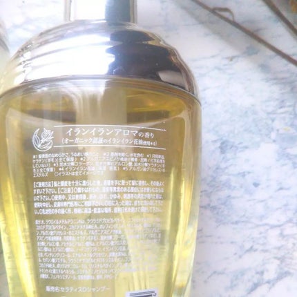 ドリーミー モイスト シャンプー/ヘアトリートメント/THERATIS/市販シャンプーを使ったクチコミ(4枚目)