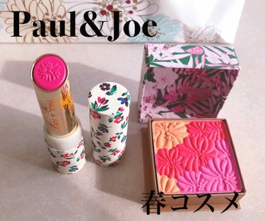 リップスティック/PAUL & JOE BEAUTE/口紅を使ったクチコミ（1枚目）