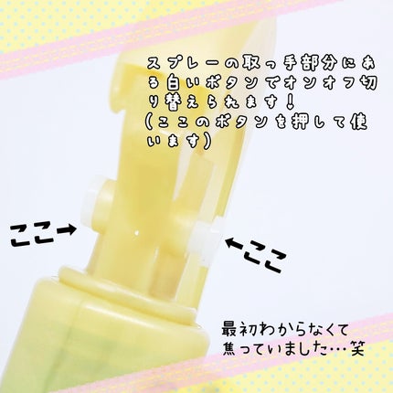 モイスチャーライジング&リペアブースター 導入液ヘアミスト/エイトザタラソ/ヘアミストを使ったクチコミ(3枚目)