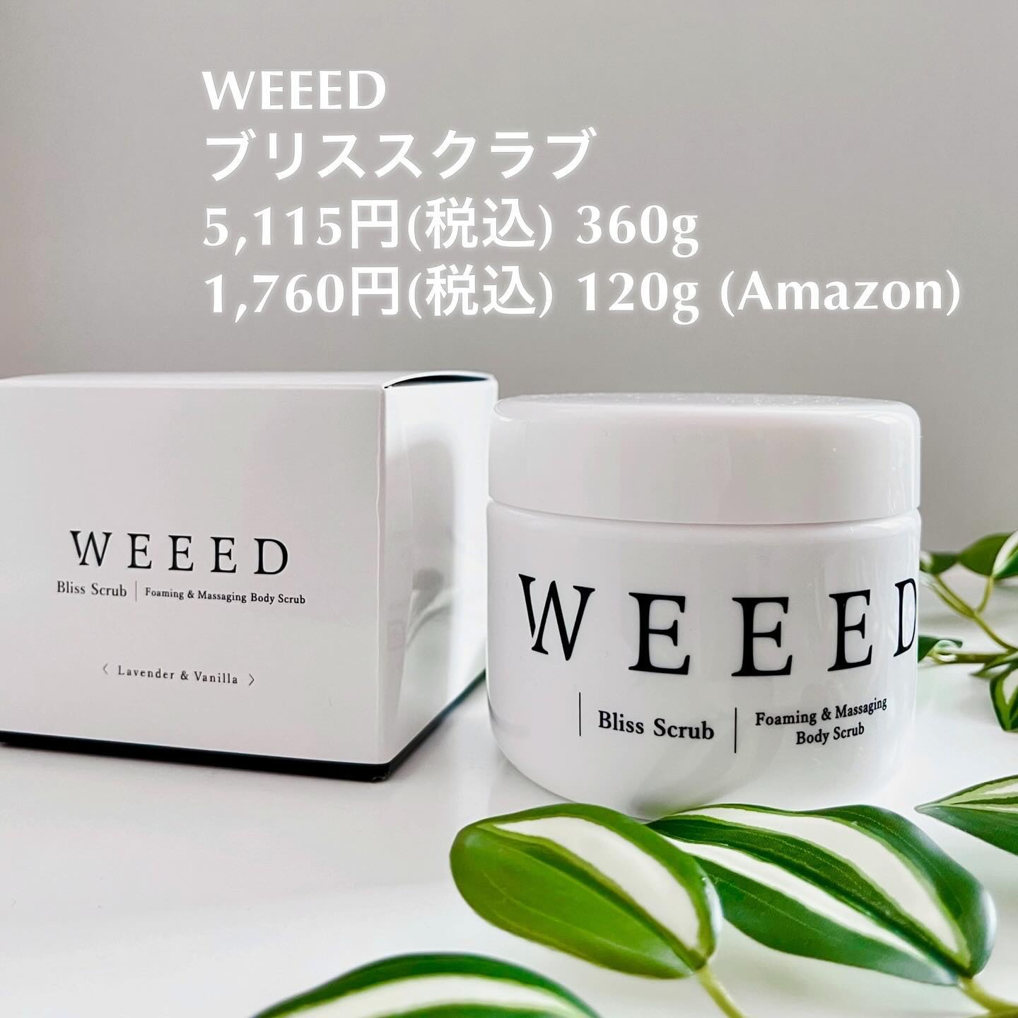【weeed】ブリススクラブ　1個 即決 新品未開封 WEEED Bliss Scrub ウィード ブリススクラブ 360ｇ １