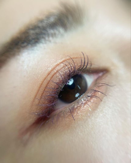 アイパレット/sopo/アイシャドウパレットを使ったクチコミ(5枚目)