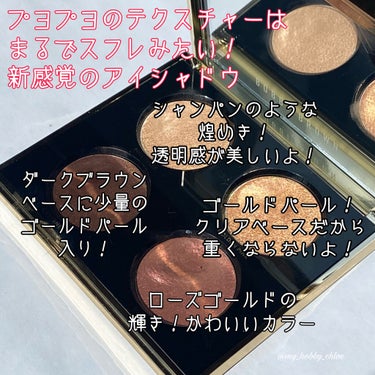 リュクス アンコール アイシャドウ パレット/BOBBI BROWN/アイシャドウパレットを使ったクチコミ（2枚目）